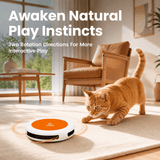 CatPat Automatic Rope Cat Toy - Catpat