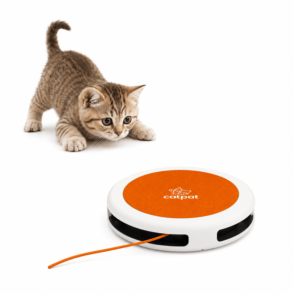CatPat Automatic Rope Cat Toy - Catpat