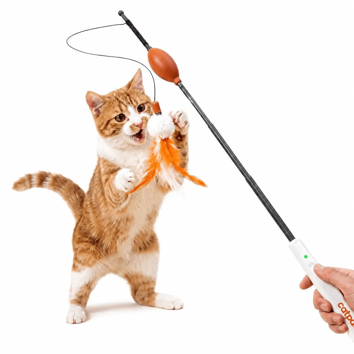 CatPat Electric Cat Teaser Wand Cat Toy - Catpat