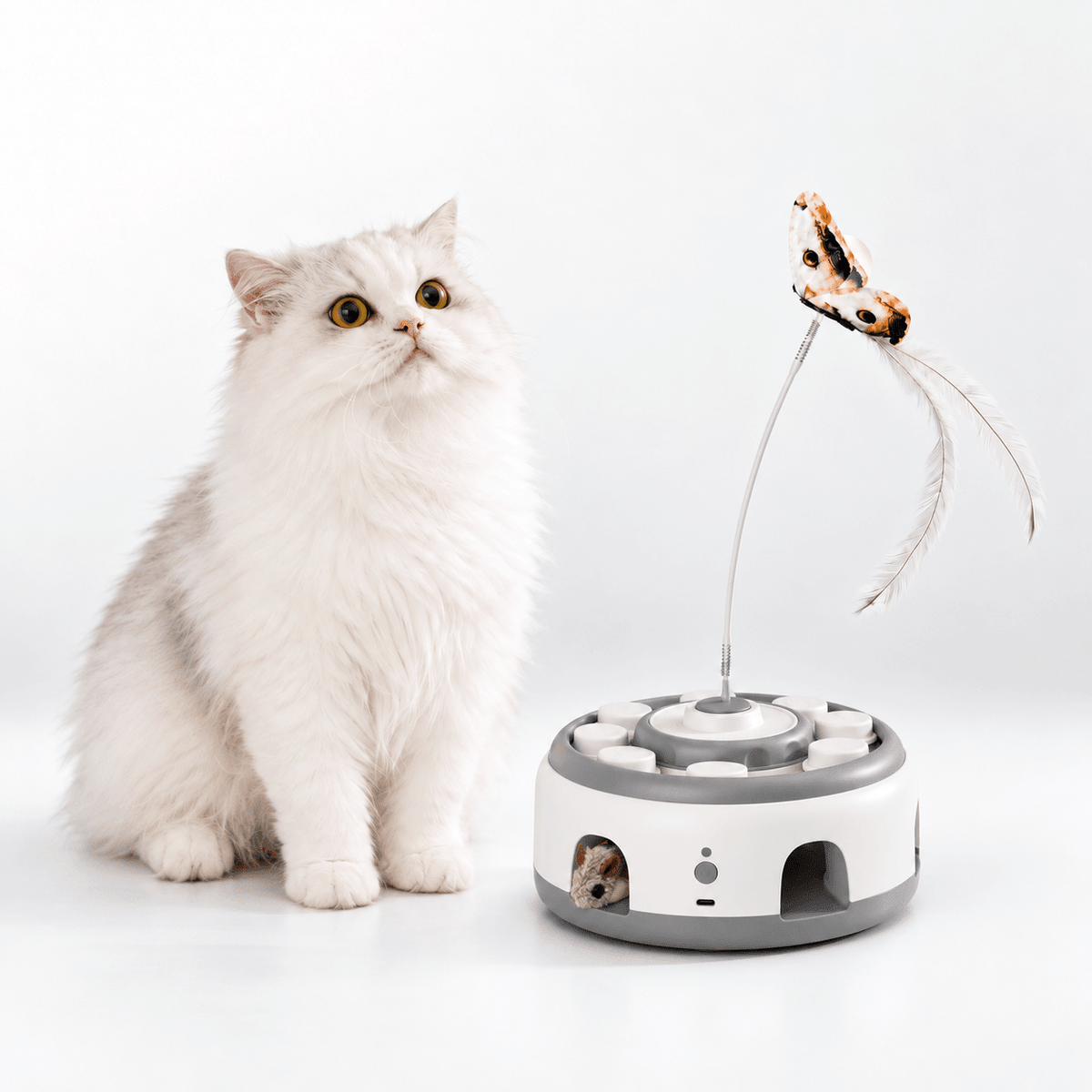 CatPat Interactive Hunting Cat Toy - Catpat