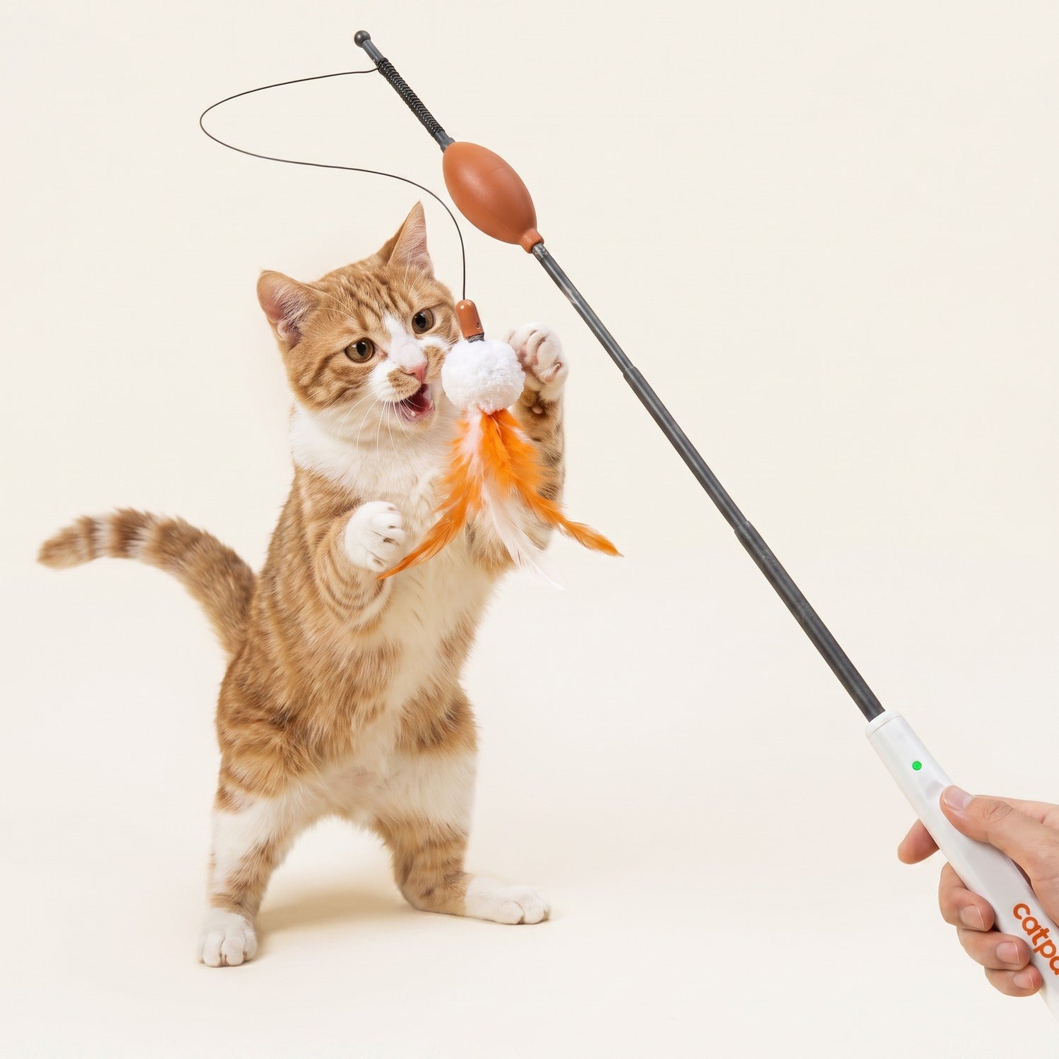 Electric Cat Teaser Wand - Catpat